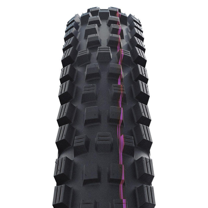 Magic Mary Trail Pro
